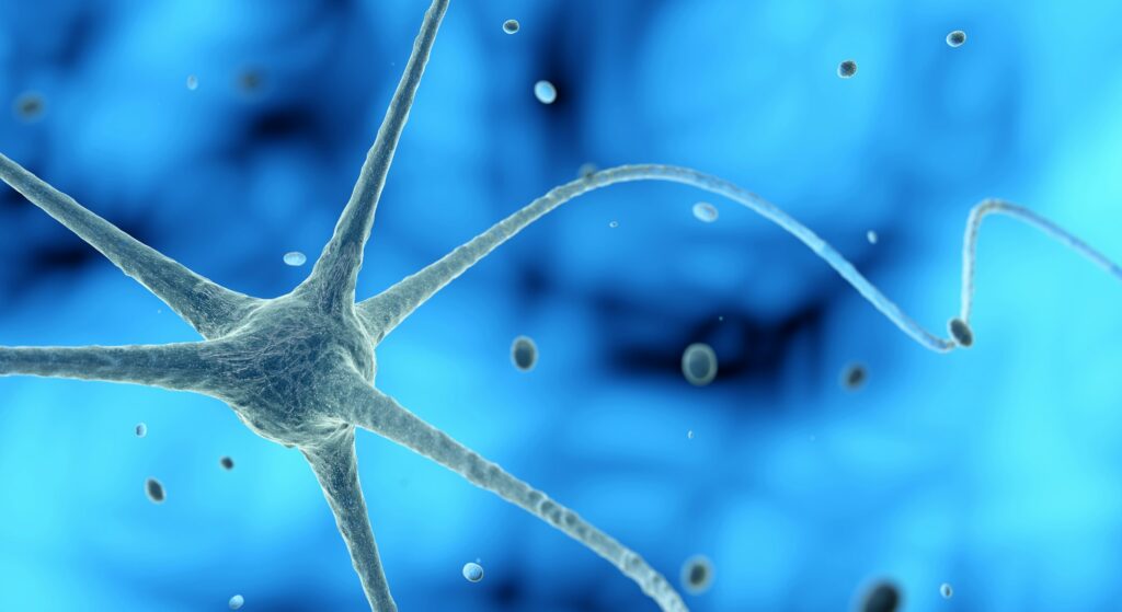 nerve cell in a blue background, 3D illustration